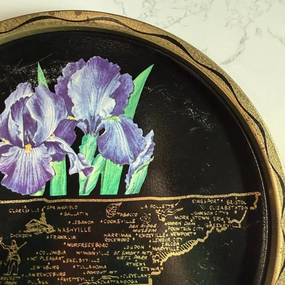 Vintage 1960s Tennessee Souvenir Metal Tray Map Iris Retro